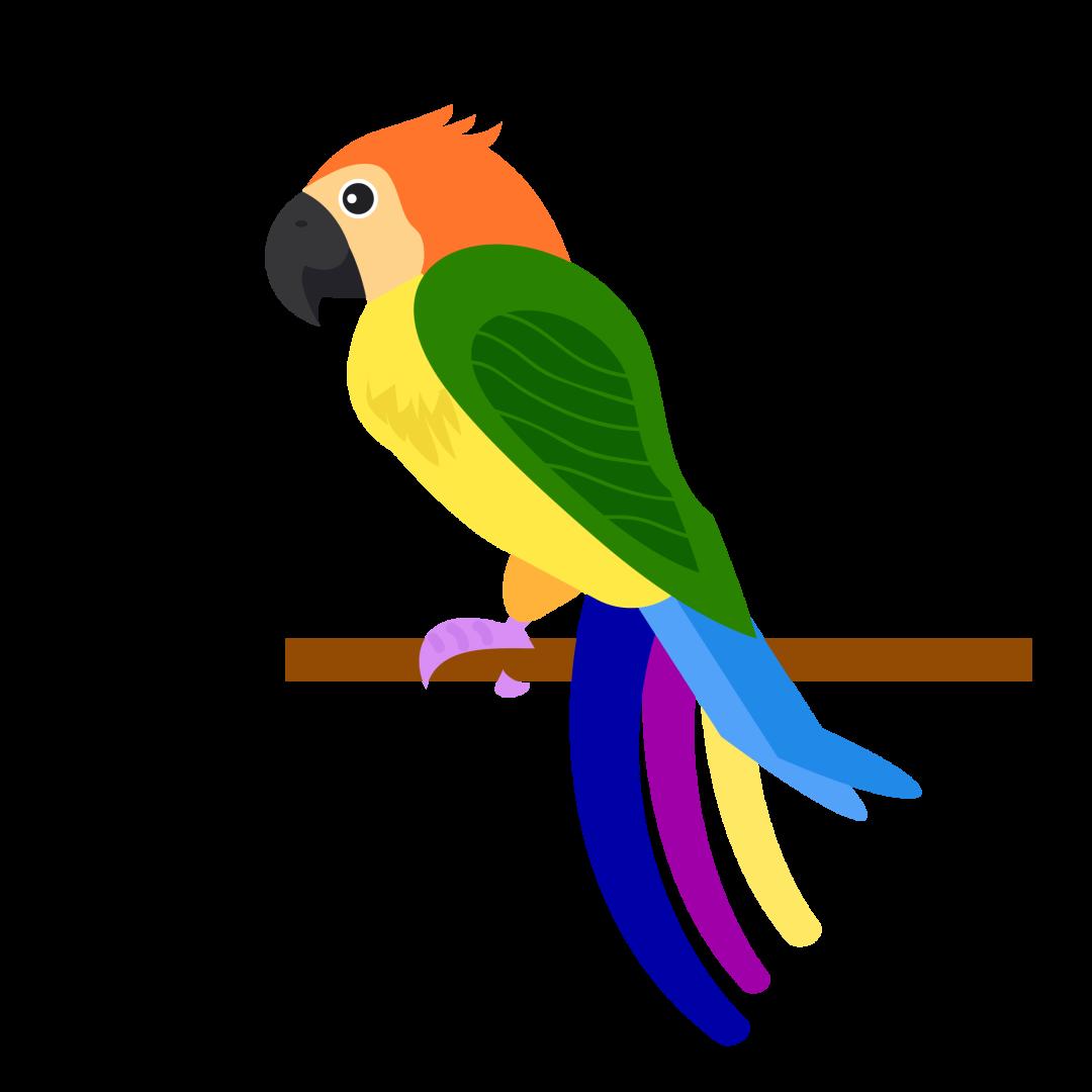 DƬ